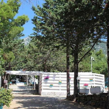 Camping Car Palmasera Cala Gonone Luaran gambar